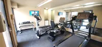 The Paragon of Golden Isles - Gym