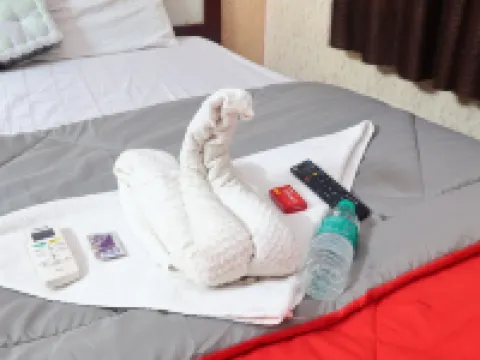 Samartha Cottage Hotels in Alibag