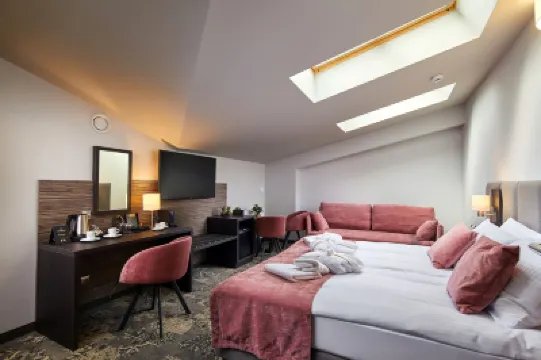 Hotel Estera Hotels in 