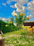 Sahure Pyramid View Inn Hotels in Abu Sir