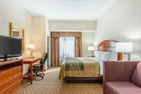 Comfort Inn & Suites Norman Near University Hotels in Norman