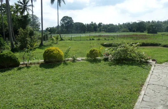 可可沃德平房酒店