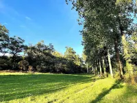 "La Petite Félixière" à 25 Min du Puy du Foù, 10 Min de Cholet, et 35 Min de Nantes Hotels in Andreze