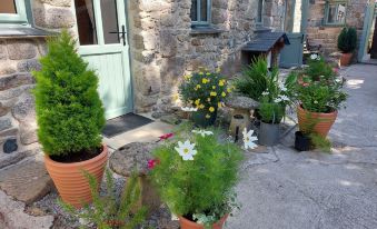 Wesley House Holiday Cottages