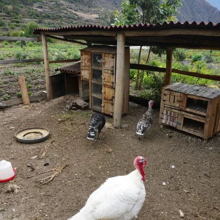 El Albergue Ollantaytambo