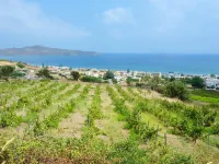 Rouladina Apt 5 in Stalos - Apartments