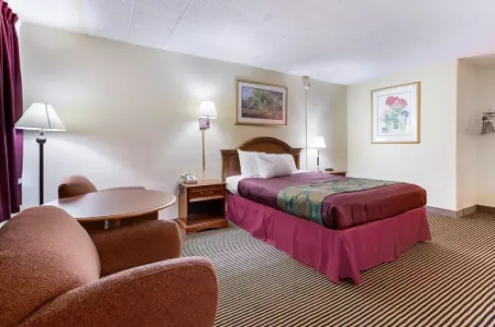 로열 인 클리어필드