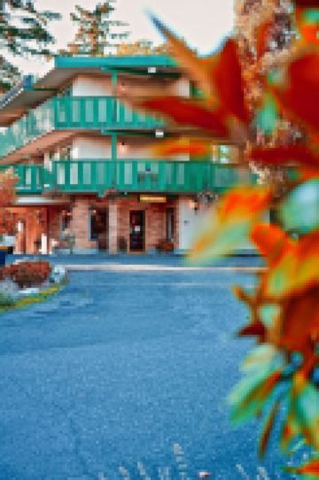 Robin Hood Inn and Suites