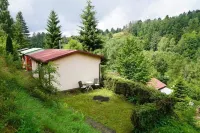 Quiet vacation home on the edge of the forest with sauna and fireplace Hotels in Schleusegrund