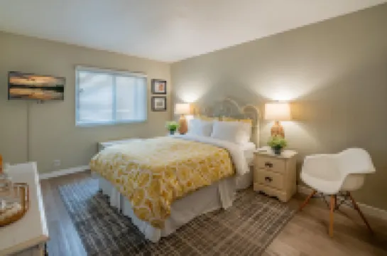 Ocean Views, Gas Grills, Open Kitchen - Stunning Beachside Haven