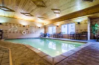 Comfort Suites Salina South - Pools