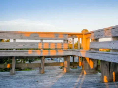 Spacious Screened Porch and Rooftop Deck - Charming Treetop Haven