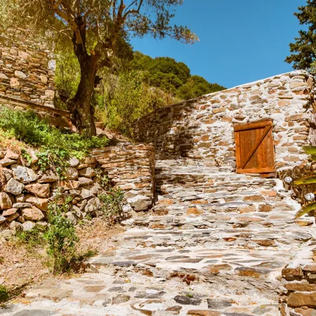 Ellafos Traditional Living