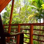 Ella Walkers Nest - Scenic
