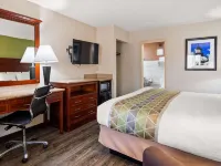 Best Western Murfreesboro Hotels near T.J. Maxx