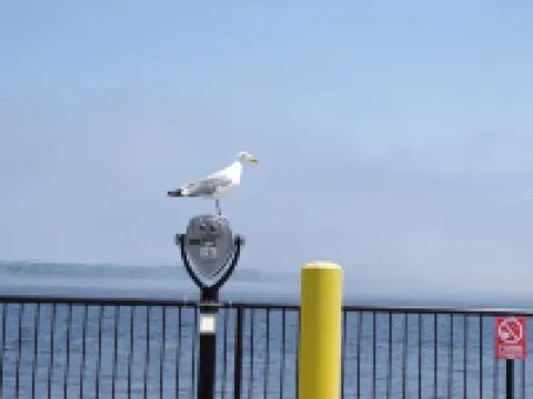 James Pharmacy Bed and Breakfast Hotels in Old Saybrook