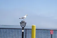 جيمز فارماسي بد آند بريكفاست فنادق في Old Saybrook