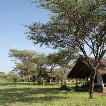 Ikoma Bush Camp