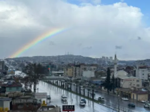 カリロイヤルホテル デニズリのホテル