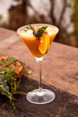 Elizabeth Village and Resort Hotels in 