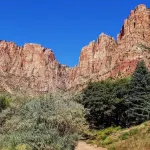 Zion’s Cozy Cabin's