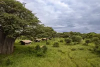 Baobab Tented Camp - 4 Sao