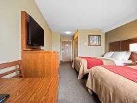 Comfort Inn & Suites Hotels in Langley Township