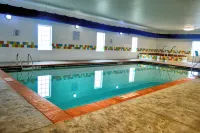La Quinta Inn & Suites by Wyndham Rochester Mayo Clinic S - piscina