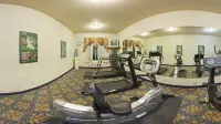 Holiday Inn Express & Suites SHERMAN HWY 75 by IHG - Kuntosalit