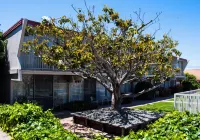 Travelodge by Wyndham Monterey Bay Hotel in zona Dive to Survive