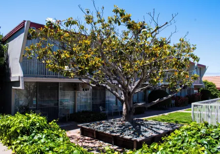 Travelodge by Wyndham Monterey Bay