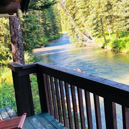 Grizzly Lodge