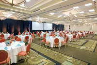Hilton Naples Hotels in Naples