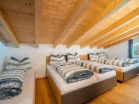 Holiday Home in Hollersbach Near Ski Slopes