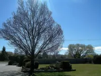 Sierra Motel and Apartments Hotels in Omarama