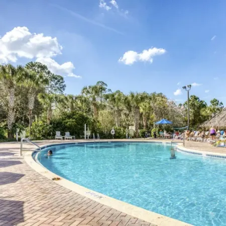 Disney Area Grnd Floor Park Free