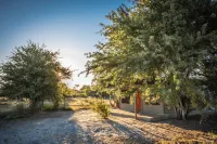 Leopard Plains Hotels in Ngamiland South District