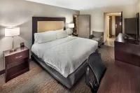 Holiday Inn Atlanta-Northlake