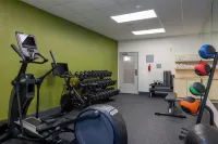 Spark by Hilton Hammond - Gym