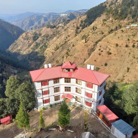 The Jungle Story - Shimla | by Headquarter