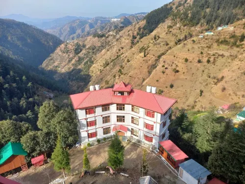 The Jungle Story - Shimla | by Headquarter
