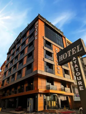 Ayatoure Hotel Отели в г. Erikliman Mahallesi