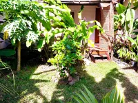 Moorea - Tropical Nest