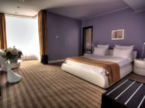 Hotel Dumbrava Hotels in Bacau