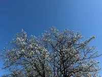 The Beautiful White House Hotels in Kortenberg