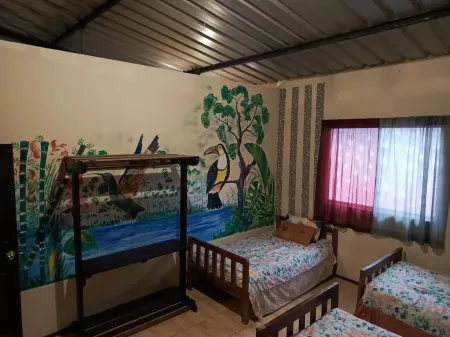 The Jungle Vacation Home Отели в г. Пуйо
