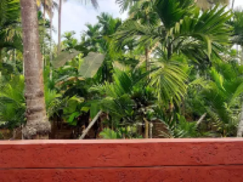 Soham Beach Resort, Diveagar Hotels in Diveagar