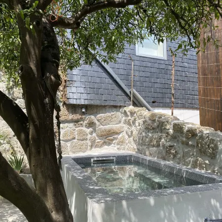 Feel Discovery Casa do Rio Douro Valley