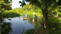 Method Living Tropical Edition 50024