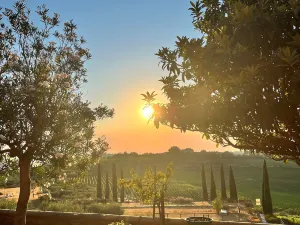 Laqua Vineyard